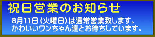 �j���c�Ƃ̂��m�点